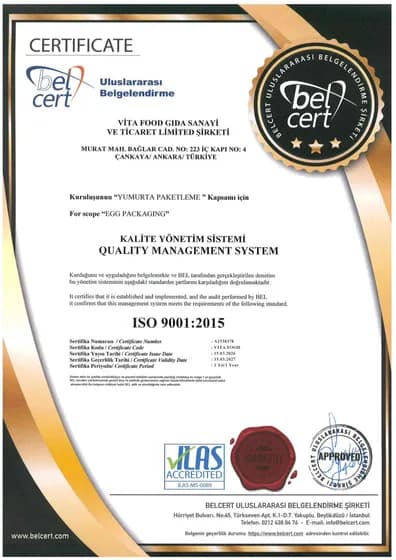 ISO 9001